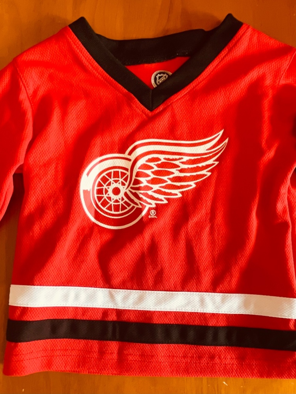 2T Red Wings Jersey